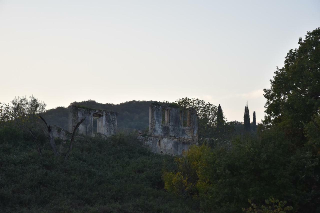 Villa Epavlis Nadine Corfu Gouvia Esterno foto